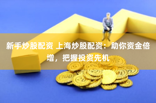新手炒股配资 上海炒股配资：助你资金倍增，把握投资先机