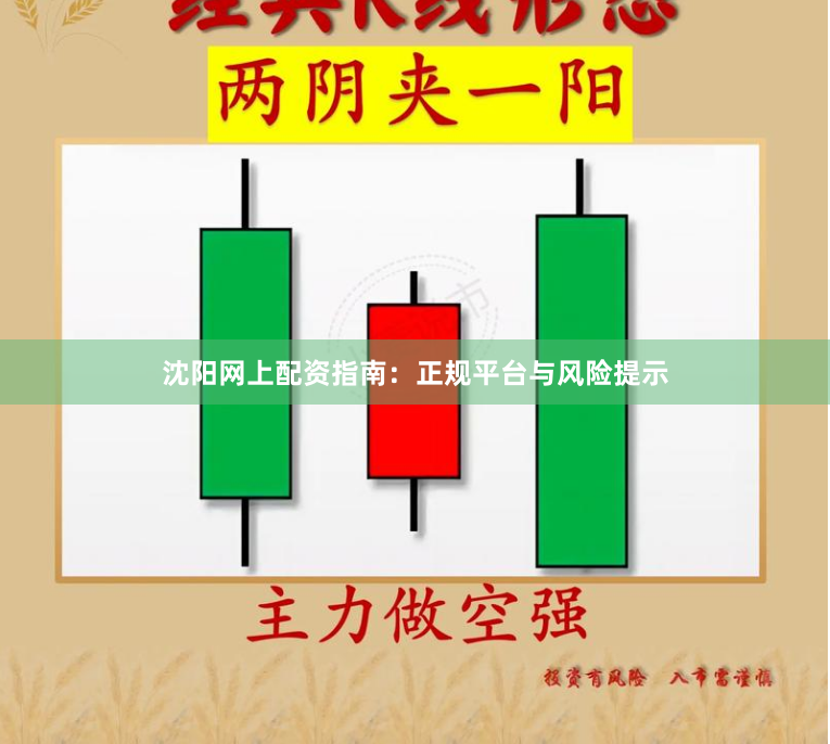 沈阳网上配资指南：正规平台与风险提示