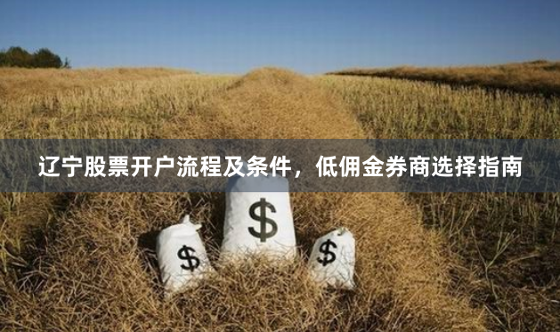 辽宁股票开户流程及条件，低佣金券商选择指南